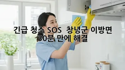 긴급 청소 SOS! 🚨 창녕군 이방면, 30분 만에 해결?!